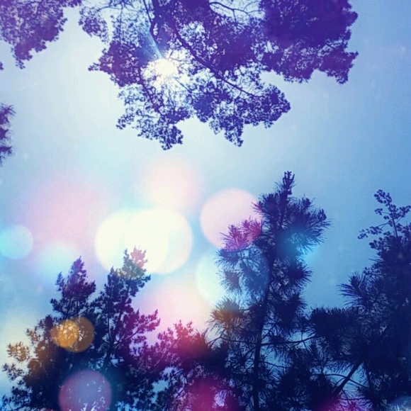 Meet your Posher, Nerissa - Picture 1 of 1